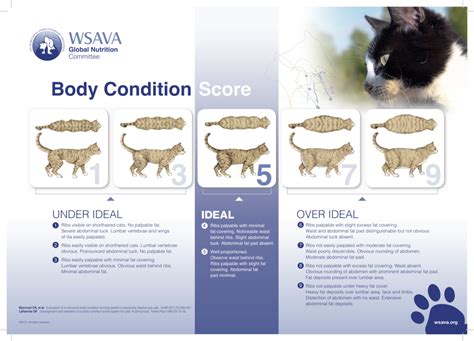 The goal of these world small animal veterinary association (wsava) audience: Pet Weight Check — Association for Pet Obesity Prevention