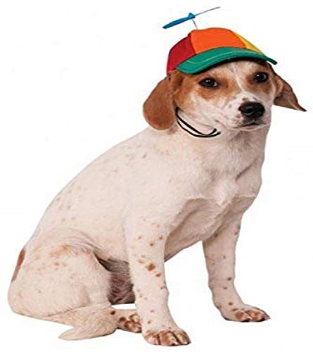 Which Propeller Hat Is Best For Your Dog