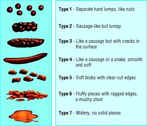 The Scoop On Poop Vital Kids Medicine