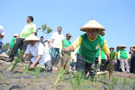 Pertama kali kita bertemu dulu dan dari c2 kita berusaha semua ni. Kumpulan gambar untuk Belajar mewarnai: Mewarnai Gambar ...