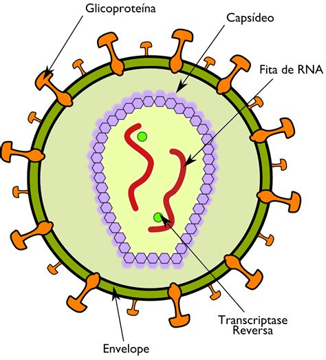 Desenho De Um Virus