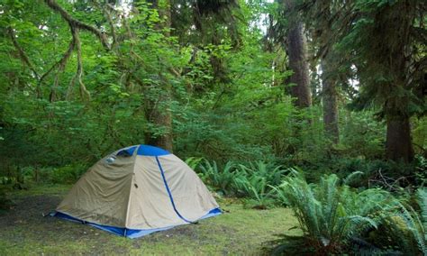 Hoh Campground Olympic National Park Alltrips
