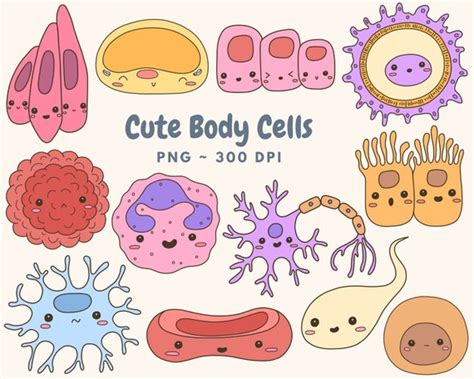 Cute Body Cells Clip Art Digital Download Biology Clip Art Etsy
