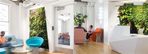 How To Incorporate Biophilic Design In Your Office 5 Simple Steps