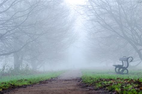 England Fog Free Stock Photo Public Domain Pictures