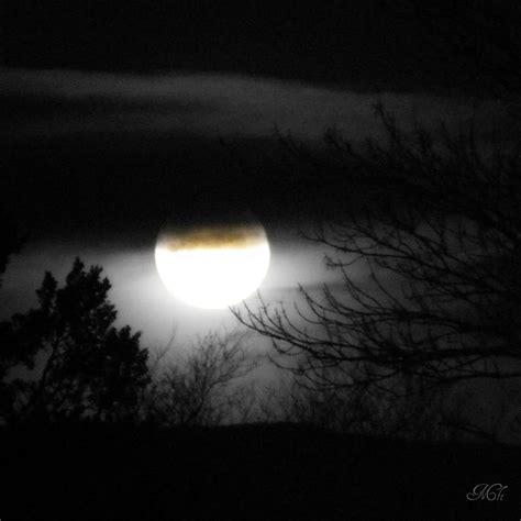 Black And White Full Moon Photograph By Michelle Frizzell Thompson