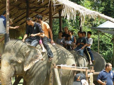 Prices and availability subject to change. TOUR PACKAGE : KUALA GANDAH PAHANG - ELEPHANT SANCTUARY