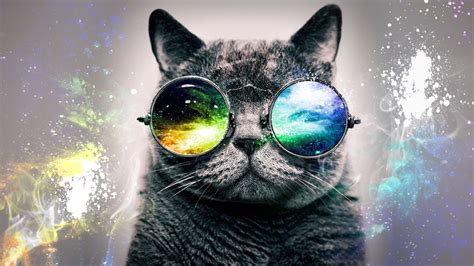 Hd Desktop Background Galaxy Cat By Pattersondesigns On