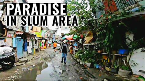 paradise in a slum and ghetto area youtube