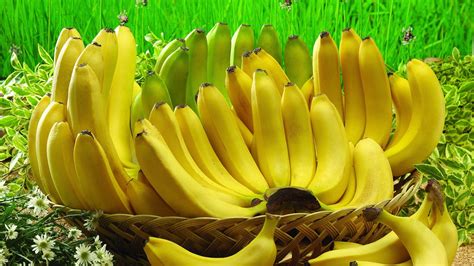 How Banana Fruit Aids In Health