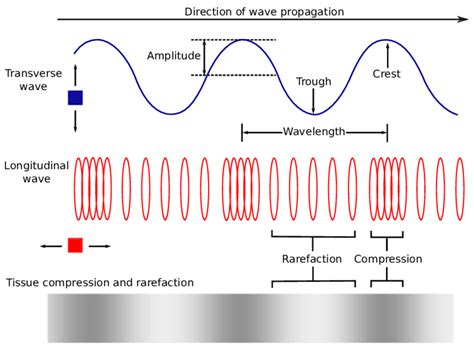 Compressions are regions of high pressure due to particles being close together. 1: Longitudinal and transverse waves. | Download ...