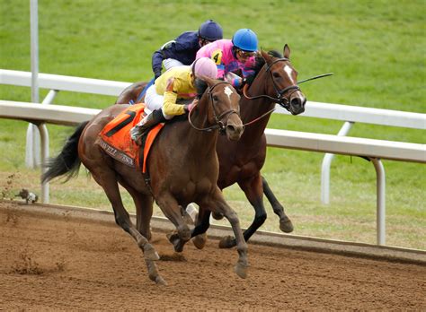 2015 Breeders' Cup TwinSpires Filly & Mare Sprint - Wavell Avenue ...