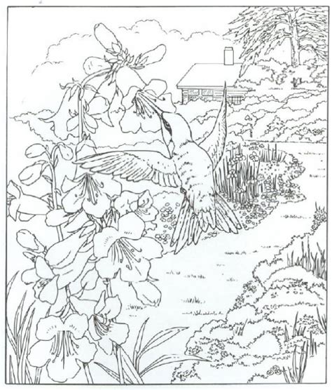 Detailed Nature Coloring Pages Coloring Pages For Adults Nature