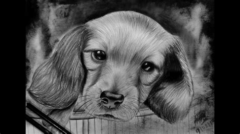 Como Dibujo Un Perro Cachorro A Lapiz Y Lapicero Drawing A Dog Puppy