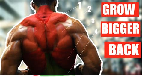 9 Exercises To Build A Bigger Back Youtube