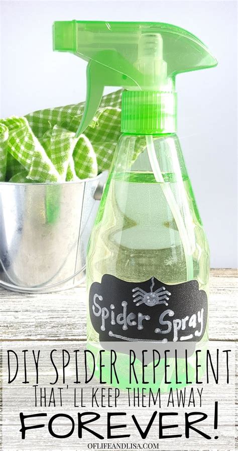 A Simple 3 Ingredient Spray Thatll Keep Spiders Out For Good Keep