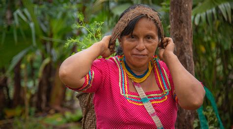 Normativa Y Derechos De Las Nacionalidades Indígenas Amazónicas En