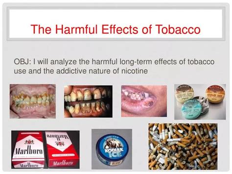 Ppt The Harmful Effects Of Tobacco Powerpoint Presentation Free