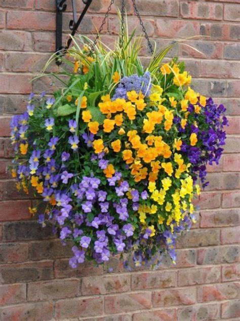 10 Unusual Hanging Basket Ideas