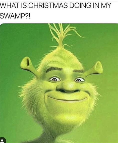 Pin By Its Nyanna On Haha Shrek Memes Really Funny Memes Funny