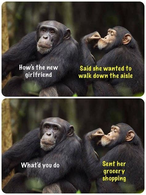 Pin By Edit Bauko On Funny Monkeys Funny Funny Phrases Instagram Funny