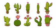 Cactus Vector Art, Icons, and Graphics for Free Download