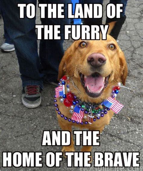 33 Happy 4th Of July Meme And Funny Pictures Jokes For Facebook