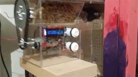 Raspberry Pi Automatic Cat Feeder Youtube