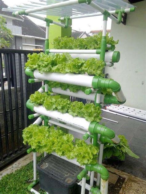 Ebb And Flow Systems Of Hydroponic Hydroponic Gardening Aquaponics
