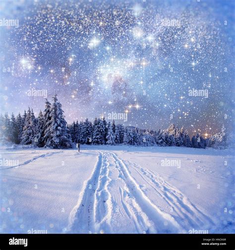 Starry Sky In Winter Snowy Night Stock Photo Alamy