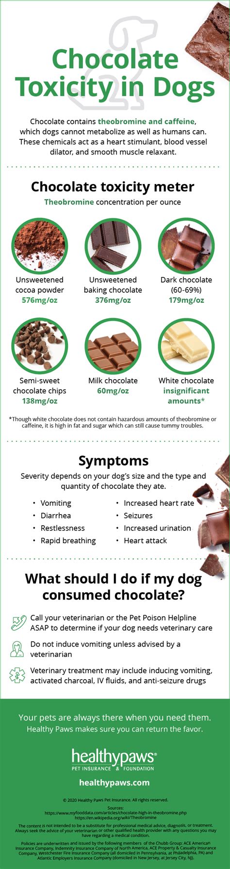 Infographic Chocolate Toxicity In Dogs Healthy Paws Pet Insurance