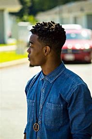 Black Men Dreads Hairstyles Fade