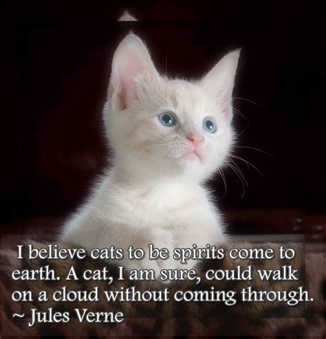 I Believe Cats To Be Spirits Come To Earth Cute Cats Cats Cute