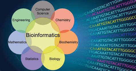 Springer science & business media isbn: Bioinformatics- Introduction and Applications ...