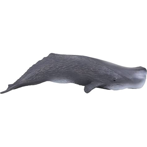 Animal Planet Sperm Whale Toy Uk