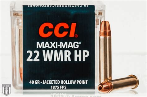 Top 5 Best 22 Wmr Ammo Recommended By Experts