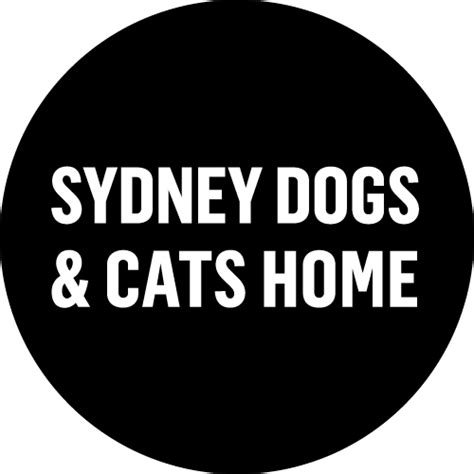 Sydney Dogs And Cats Home Bobbie Dogs