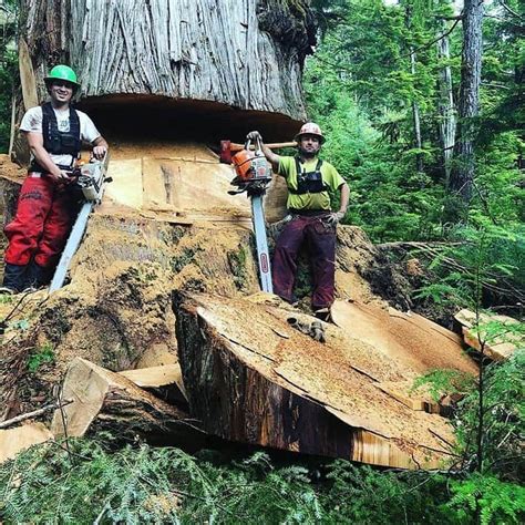 Old And New Logging Pictures Hat Einen Beitrag Auf Instagram Geteilt