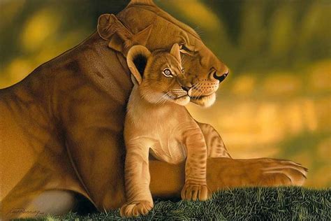 Image Cubs Lions Big Cats Lioness