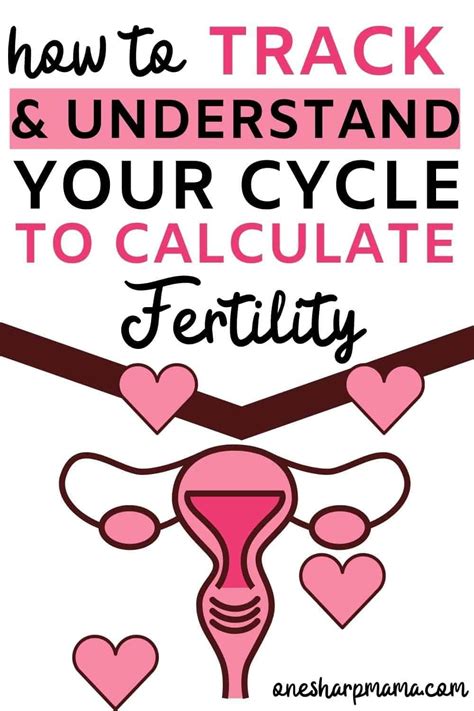 Understanding Your Cycle And Calculating Your Fertile Window Artofit