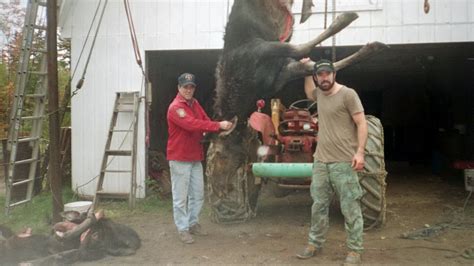 The Maine Outdoorsman Moose Hunting In Central Maine