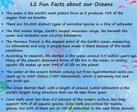 Incredible Facts You Should Know About Our Ocean