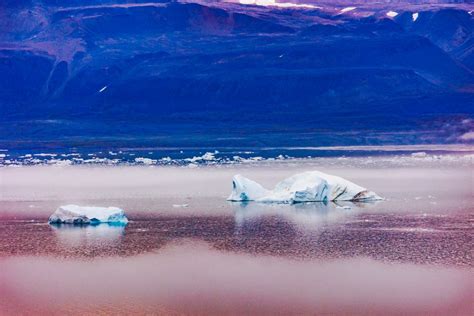 Scientists Find 2 Million Year Old DNA In Greenland