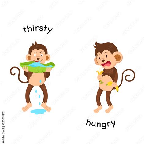 Opposite Thirsty And Hungry Vector Illustration Stock Vector Adobe Stock