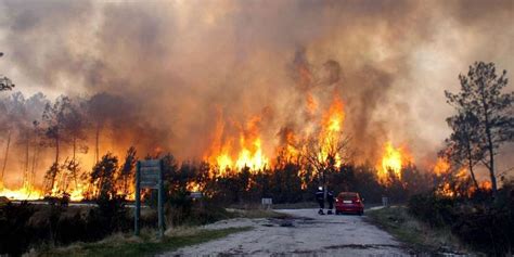 147 hectares et plus de 9000 arbres. Gironde : 10 hectares brûlés dans un feu de forêt en Médoc