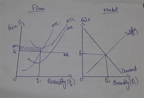 Solved Draw Two Graphs Side By Side Illustrating The Present