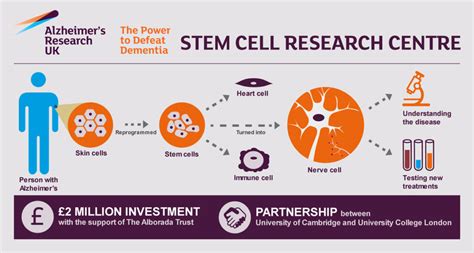 Stem Cells Reveal New Insights Into The Biology Of Alzheimers Disease