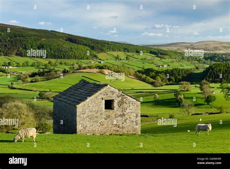 Scenic Wharfedale Countryside Valley Hillsides Isolated Rustic Field