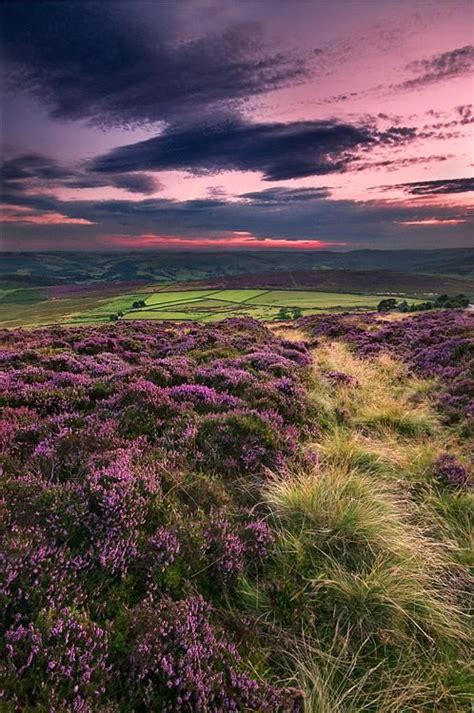 Stanton Moor By Bart Hoga Digital Photographer Beautiful Nature