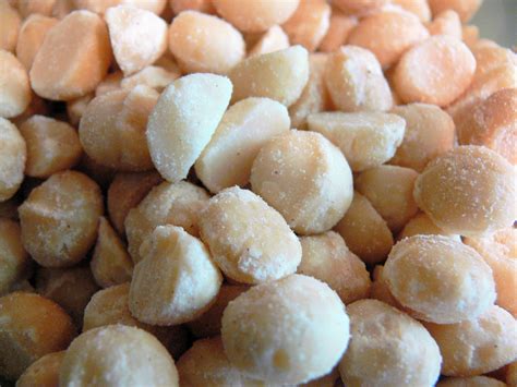 70 Percent Of The Worlds Macadamia Nuts Came From One Tree In